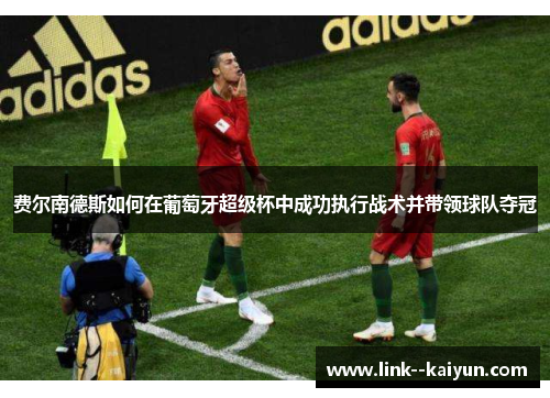 费尔南德斯如何在葡萄牙超级杯中成功执行战术并带领球队夺冠 费尔南德斯如何在葡萄牙超级杯中成功执行战术并带领球队夺冠