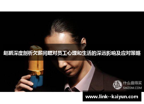 赵鹏深度剖析欠薪问题对员工心理和生活的深远影响及应对策略