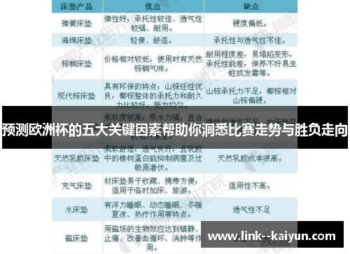 预测欧洲杯的五大关键因素帮助你洞悉比赛走势与胜负走向